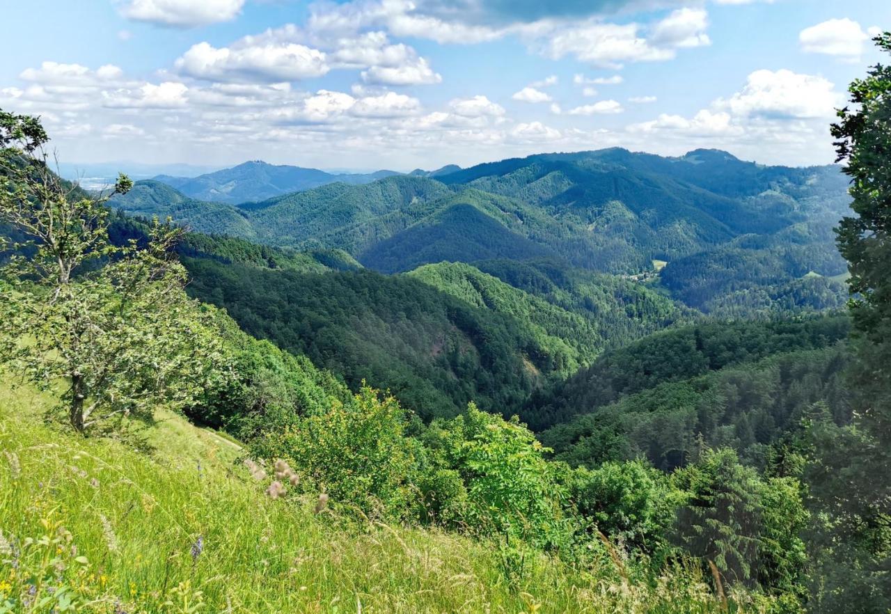 Bajta Kroparica Экстерьер фото